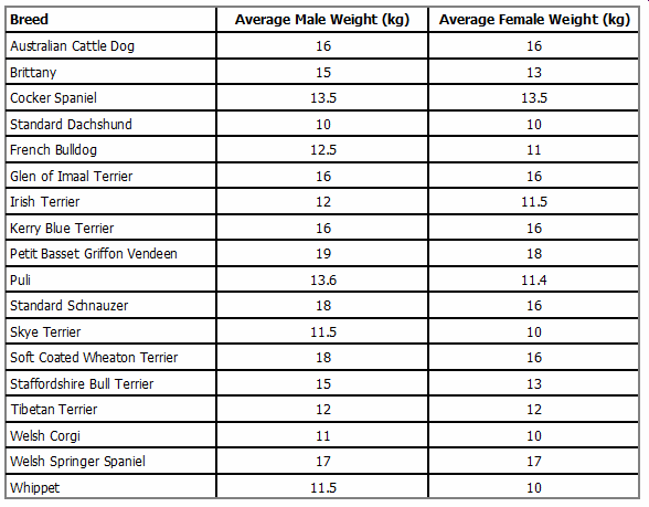 English Cocker Spaniel Weight Chart