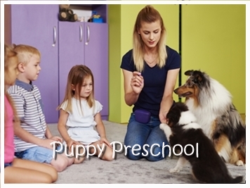 Puppy Preschool